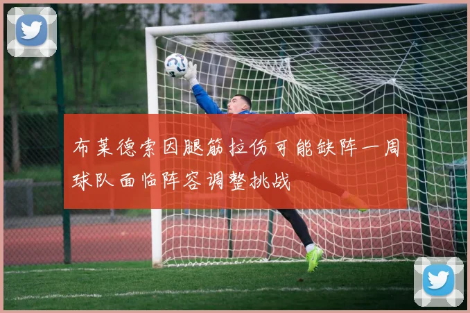 布莱德索因腿筋拉伤可能缺阵一周球队面临阵容调整挑战