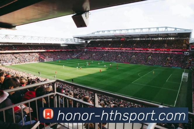 App Interface Preview