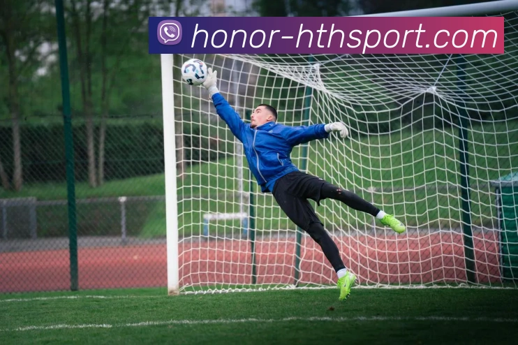 hth体育APP 封面图